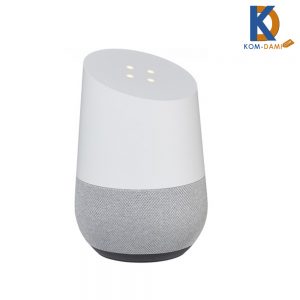 google-home-smart-assistant-1