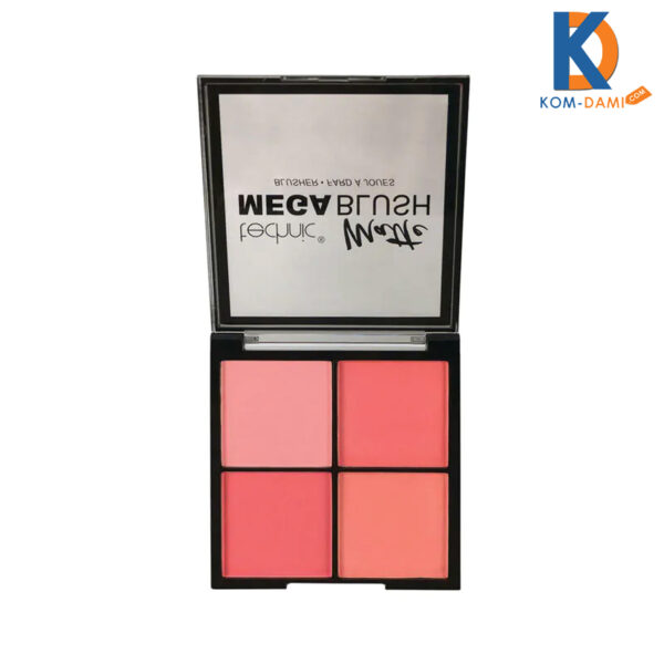 Technic Matte finish Mega Blush 11